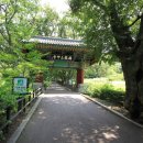 계룡산갑사황금산장 | 충남 초보자 등산 코스 가볼만한곳 , 공주 데이트 여행지 계룡산 국립공원 계곡 갑사