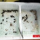 블랙컨슈머 이미지