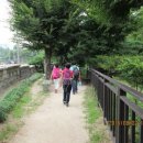 중앙초등길 이미지