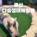 다솜생태체험관 | 경산 실내 아이체험 추천｜토끼 만지고 생태설명까지, 다솜생태체험관 후기