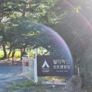 파인 오토 이미지