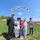 삼양카써비스 | 평창반값여행, 12만원 환급받은 환급 후기/ 반려된 이유