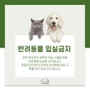 해미리온 리조트 이미지