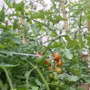 개곡1리 마을회관 이미지