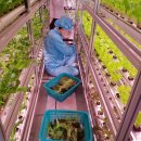 (주)케일 농업회사법인 이미지