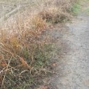 창녕부동산중개 이미지