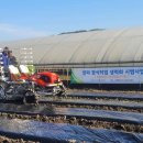 세종특별자치시농업기술센터 이미지