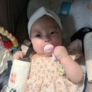 [오이스터3 디럭스 유모차 후기] 튼튼한 신생아 유모차