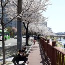 하천로 이미지