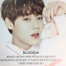 워너클린 이미지