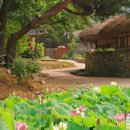 외암민속마을 이미지