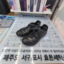 늘푸른세탁 | 명품 구찌 신발 세탁 장마철 가죽 곰팡이 냄새 얼룩제거 가죽 스크레지 염색 복원 관리방법 꿀팁