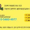 늘푸른한글교실 이미지