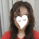 비포렉스
