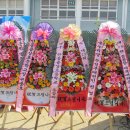 안동용상초등학교 이미지