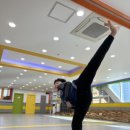 용인대 아름태권도 이미지