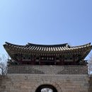 요케요당 네이버블로그