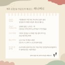 우시장(도시재생) 3 | 서귀포 가볼만한곳 중앙동 도시재생 투어 : 만드미 드리미 오르미센터 클라이밍 찐 후기