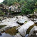 합천황토펜션숲 이미지