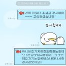 한지윤네일 | 무릎 위로 덮은 햇살은 그댈 밝혀