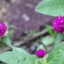 나드리야영장 이미지