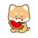 블럭키즈 이미지