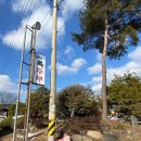 달맞이 흑두부 이미지