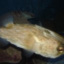 산내들부동산중개(주) 이미지