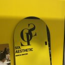 진접솔동물병원 | 대구에스테틱 솔에스테틱 여드름관리 잘하는 대봉동 피부관리