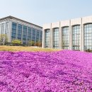 연세종합동물병원 쿠키뉴스