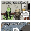 개미와배짱이 Daum카페