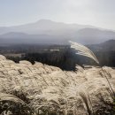 한라산국립공원 산악박물관 이미지