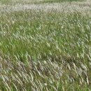 새마을 민박 이미지