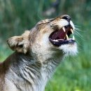 이광호 한의원 이미지