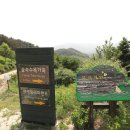 지리산정원 네이버블로그