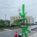 슈퍼플라워 | [제주 구좌 카페] 비 오는 날 가기 좋은 슈퍼플라워 제주 🌸 주차·화장실 꿀팁 후기