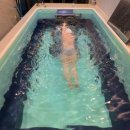 야옹아 멍멍해봐 동탄하나로점 | 광주 수영 강습 SPT수영 1인 수영장 개인레슨 꼼꼼 이용후기