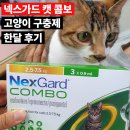 내방안 고양이 | 넥스가드 캣 콤보 한 달 사용 후기, 고양이 구충제 주기와 부작용까지 정리