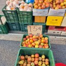 삼천우리약국 이미지