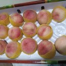 진실농원 이미지