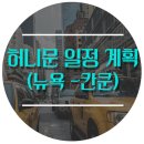 W - 50) 허니문 일정 계획(뉴욕 2박3일, 칸쿤 6박7일)