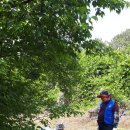 구포1동-6 이미지