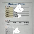 21 ] 동화 같은 색감 &#34;예슬스냅&#34; 야외 테니스 웨딩 스냅 촬영 후기 (+ 소품, 로얄엑스클럽 코트, 레퍼런스)