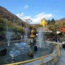 와우정사 | 용인 가볼만한곳 와우정사 가을 단풍 명소 드라이브 주차 정보 후기