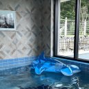 더스톤 빌리지 풀빌라 이미지