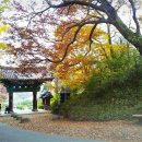 휘파람속