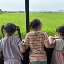 연보람목장 이미지