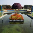 코리아플라워파크 이미지