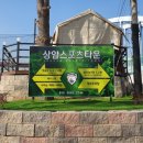 상암풋살장 네이버블로그