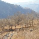 김삿갓면-9 이미지